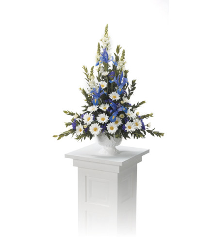 Pedestal Arrangement CTT8-110