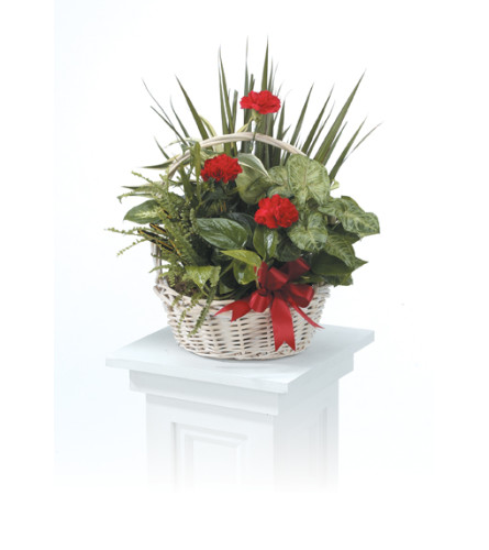 Dishgarden Basket CTT30-11