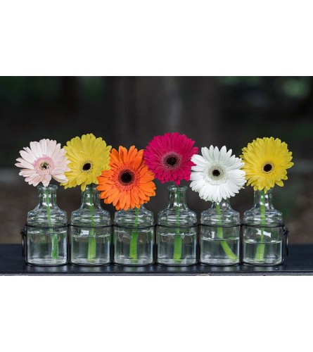 Blooming Rainbow - Standard. An arrangement by Loyalist Flowers.