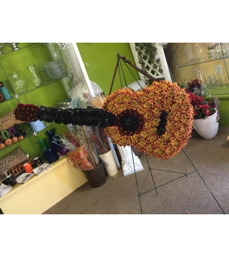 Guitar