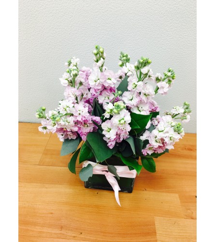 Scented Pink Stock Floral Arrangement