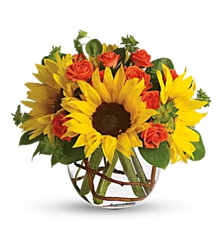 Teleflora - Sunny Sunflowers