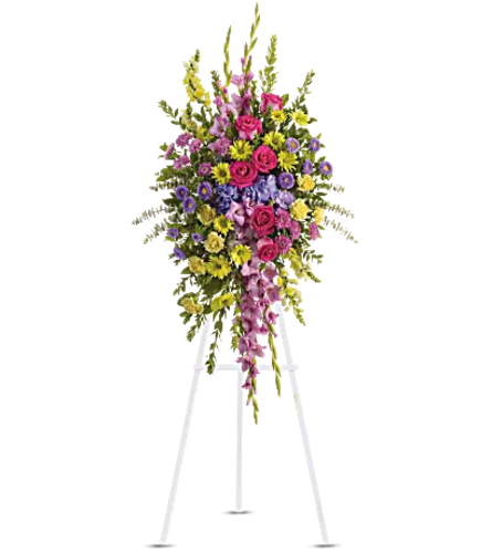 Teleflora - Bright and Beautiful Spray