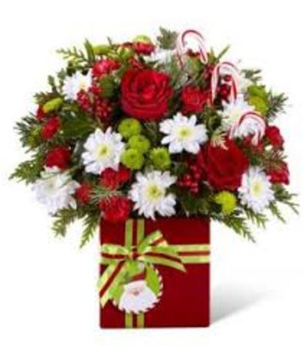 Holiday Cheer