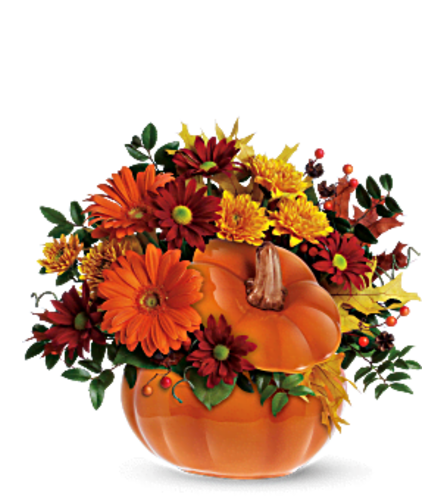 COUNTRY PUMPKIN