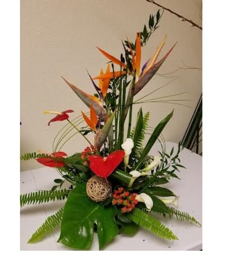 Tropical Splendor