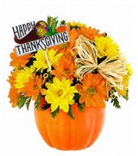 Pumpkin sunshine