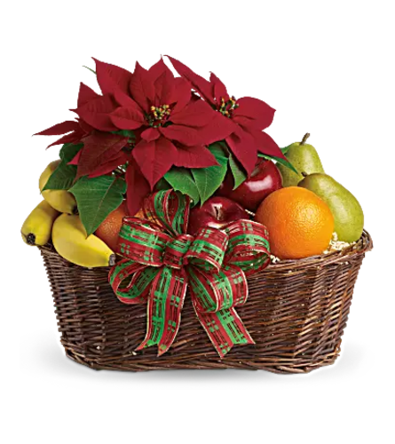 Fruit and Poinsettia Basket - Deluxe. An arrangement by Belak Flowers.