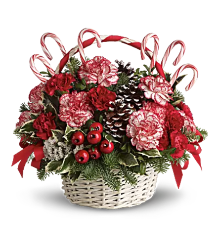 Candy Cane Christmas