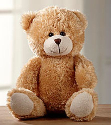 deliver teddy bear today