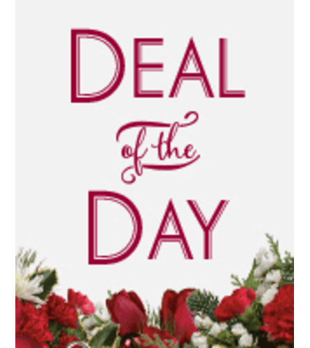 Deal of the DAY Christmas