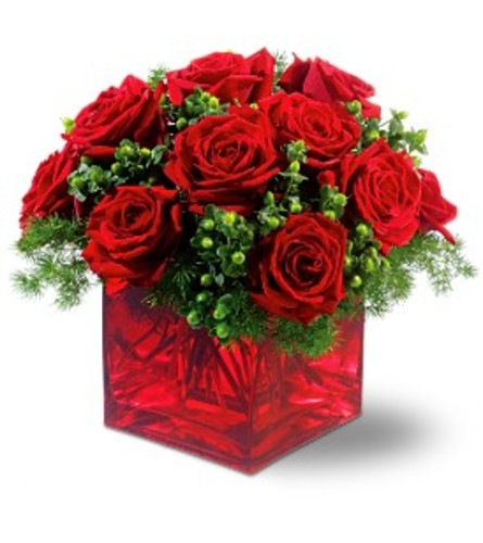 Merry Roses