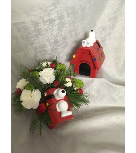 Snoopy's Cookie Jar