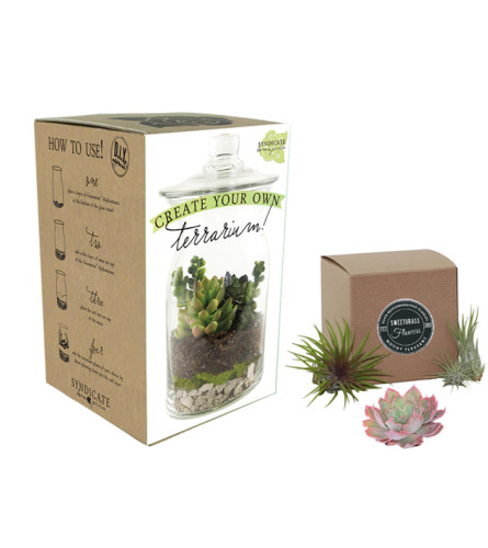 Create your own Terrarium