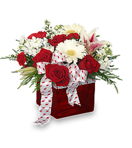 Gift Wrapped Bouquet