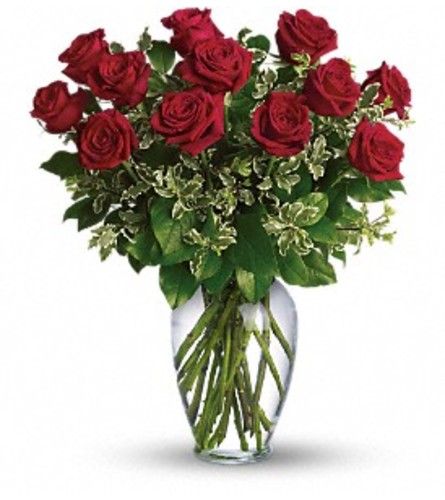 One dozen red roses arranged