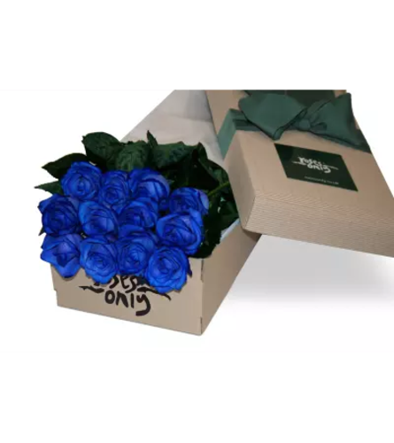 One Dozen Blue Roses