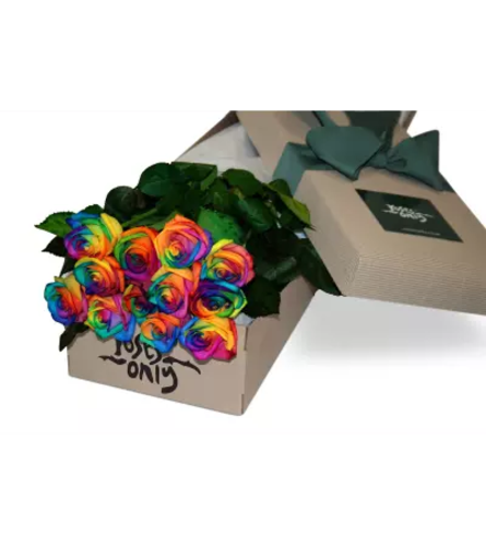 One dozen Rainbow Roses