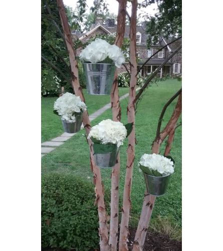 BUCKETS OF HYDRANGEAS