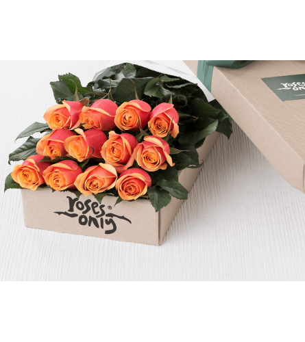 One Dozen Orange Roses