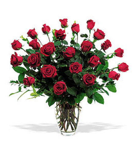 CLASSIC TWO DOZEN ROSE BOUQUET