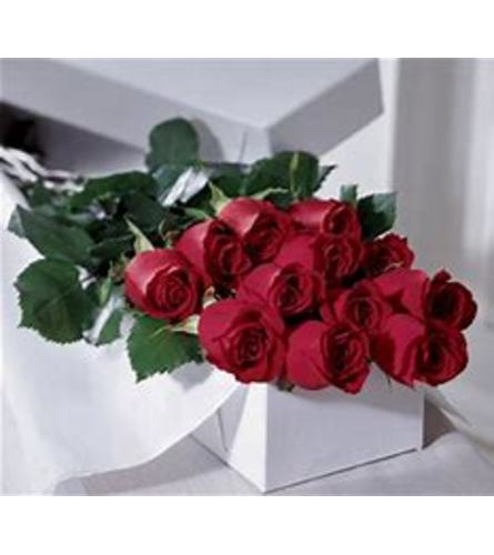 A DOZEN OF ROSES IN A GIFT BOX