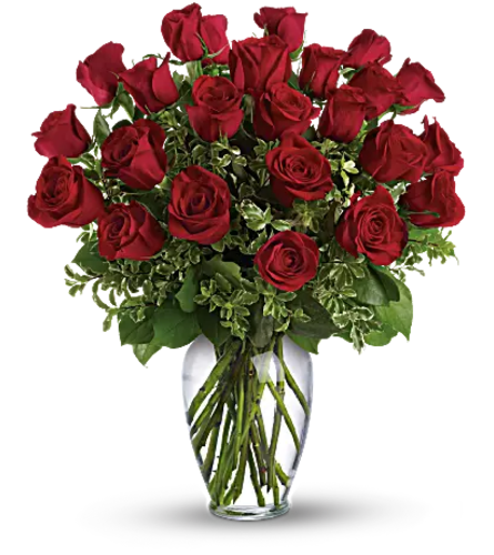 Lovely Two Dozen Red roses