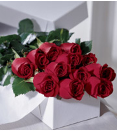 One Dozen Boxed Roses