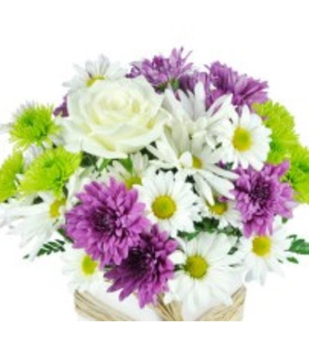 VASE OF WHITE AND PURPLE FLOWERS