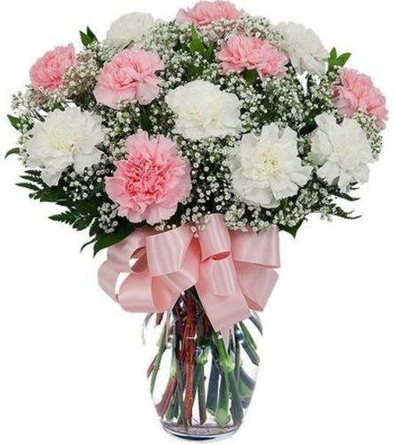 SPECIAL! 40% OFF Carnations in a Vase