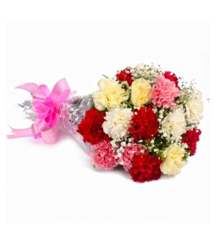 Wrapped Carnations (Assorted)