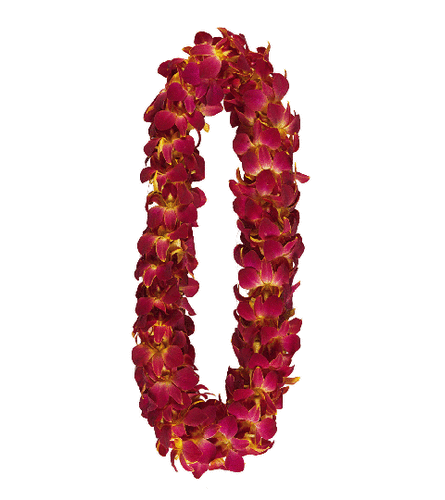 Premium Cardinal Gold Lei