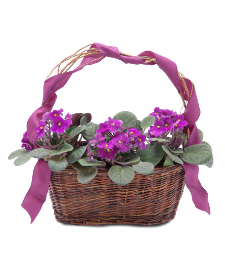 Very Violet Basket