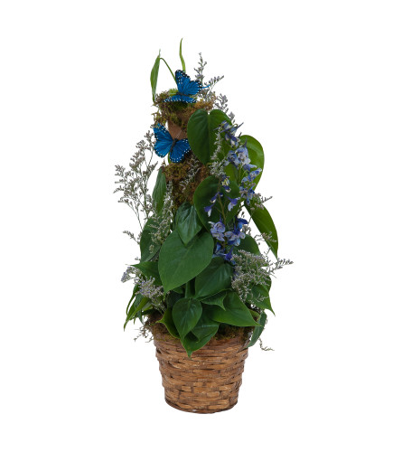 Plant Basket with Butterflies