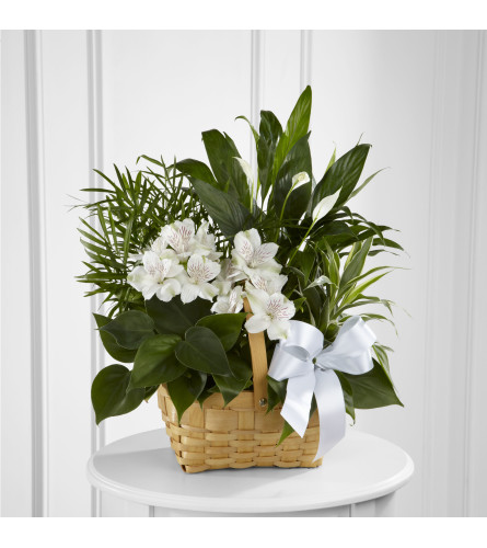 TROPICAL PLANT BASKET