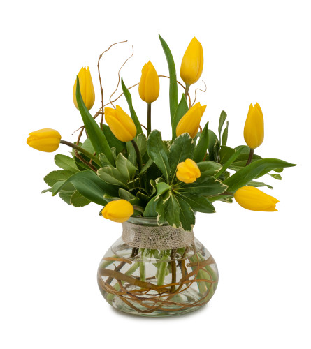 Freshly Squeezed. An arrangement by The Flower Patch Florist.