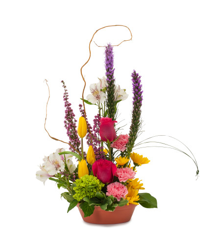 Send Pixie Garden in Palm Desert, CA - The Flower Patch Florist