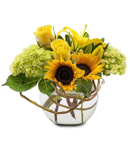 Rays of Sunshine. An arrangement by The Flower Patch Florist.
