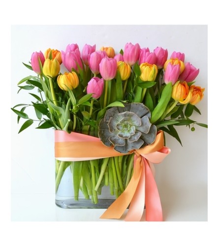 SpringTime Tulip Garden