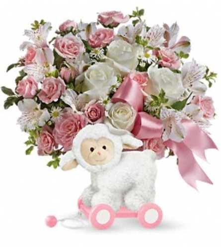 Teleflora's Sweet Little Lamb - Baby Pink