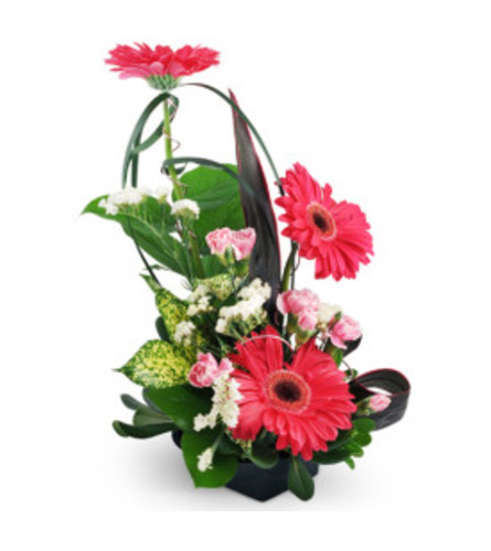 To The Top Arrangement