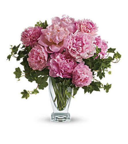 Our Perfect Peonies Limited Time Only