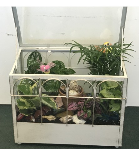 Terrarium planter