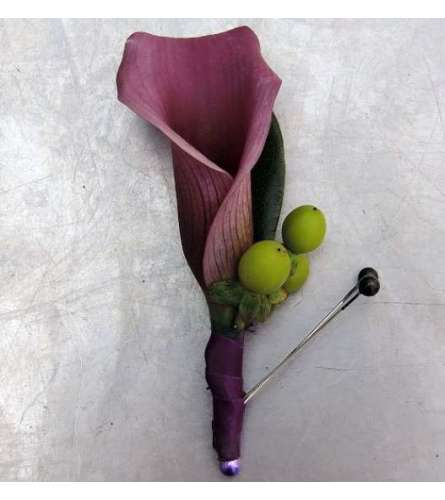 calla lily eggplant
