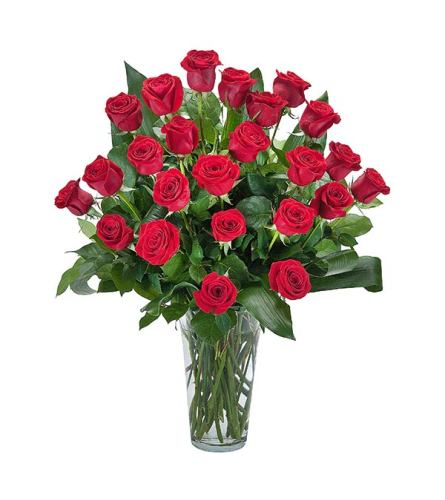 Grande Roses DW