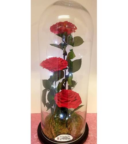 Preserved roses lamp in red