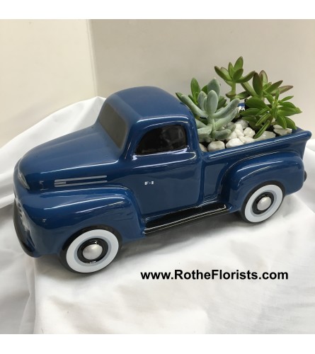 '48 Ford Pickup Truck with Succulents