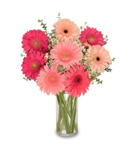 Gerb Appeal Bouquet - Deluxe. An arrangement by April Showers Floral Designs.