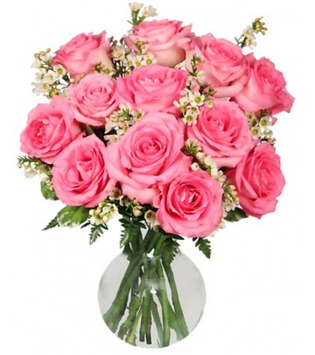 Chantilly Pink Roses