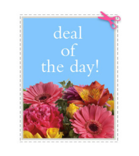 Wrapped Deal of the Day